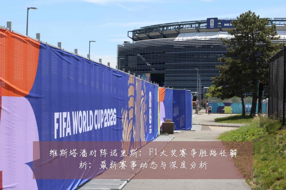 维斯塔潘对阵诺里斯:F1大奖赛争胜路径解析:最新赛事动态与深度分析