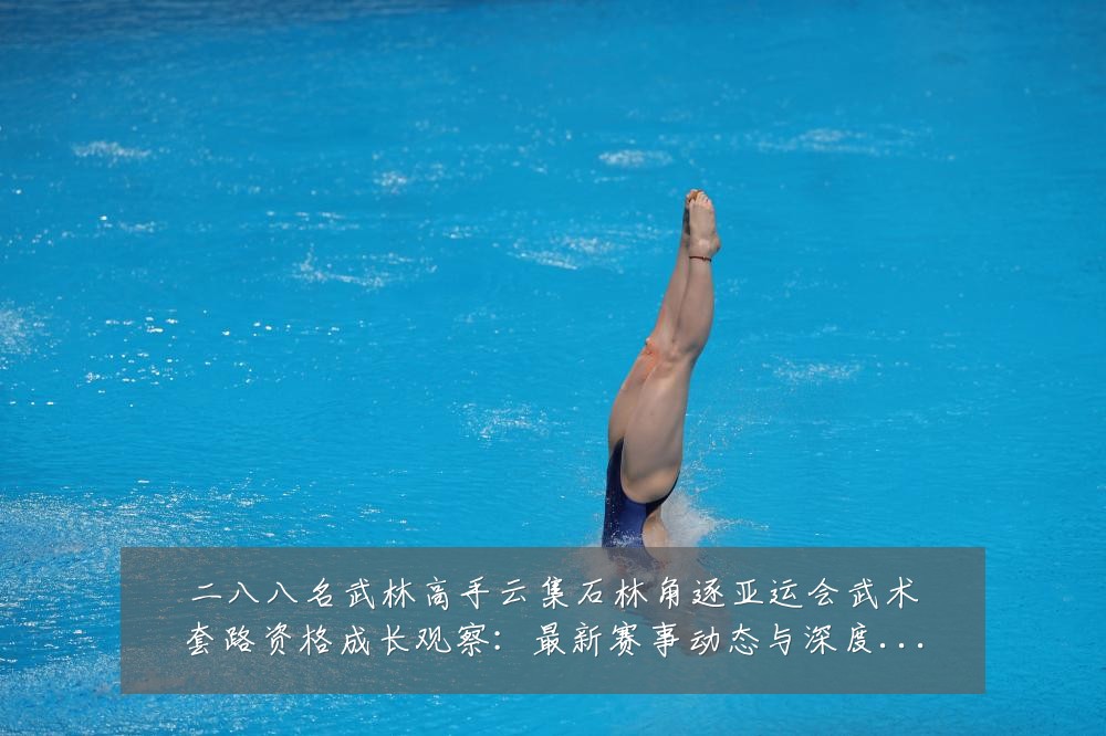 二八八名武林高手云集石林角逐亚运会武术套路资格成长观察:最新赛事动态与深度分析